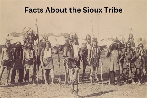 10 Facts About the Sioux Tribe - Have Fun With History