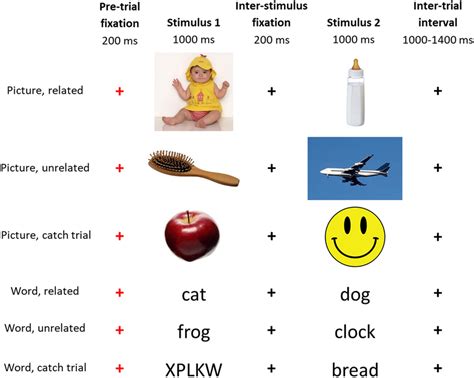 Example stimuli and timeline for the semantic priming task, in which ...