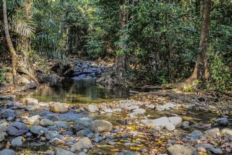 Introducing The Saddle Peak National Park in Diglipur | Andaman Islands