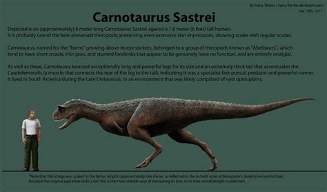 Carnotaurus Size Chart