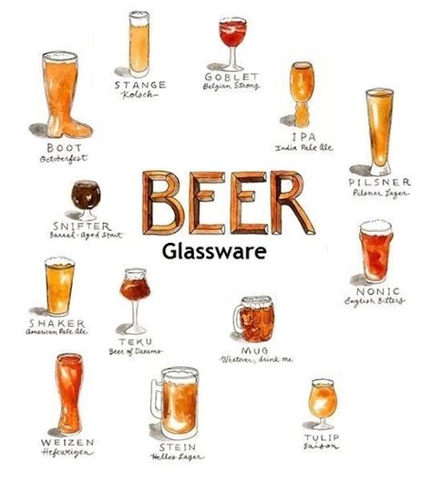 Beer Glasses Names – Charts