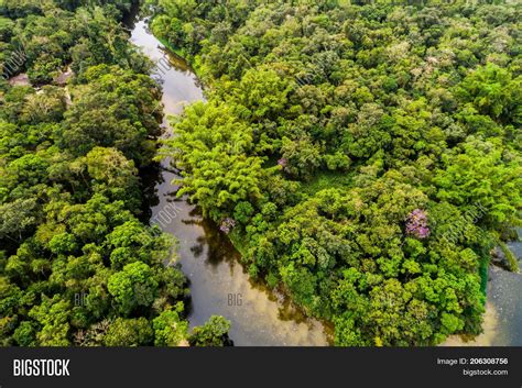 Aerial View Amazon Image & Photo (Free Trial) | Bigstock