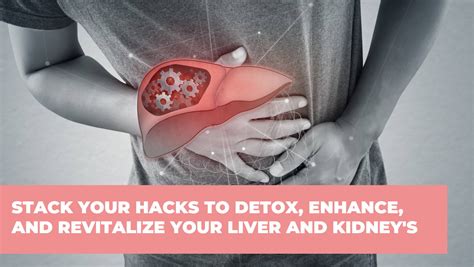 Detox, Enhance, and Revitalize Your Liver and Kidney's – Therasage