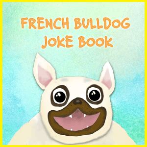Best Frenchie French Bulldog Jokes - Puns, Gifs, Riddles — WEIRD WORLD