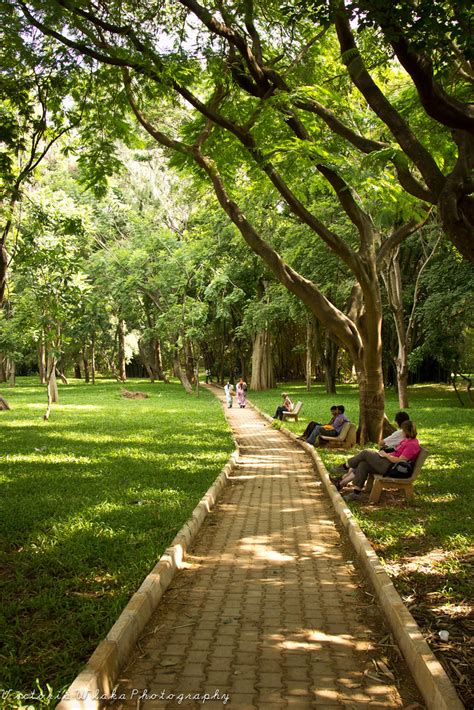 Cubbon Park Bangalore | en.wikipedia.org/wiki/Cubbon_Park | Flickr