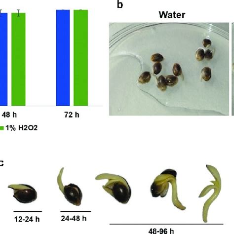 Germination Of Weed Seeds