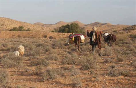 How pastoral farming can help to avoid a biodiversity crisis