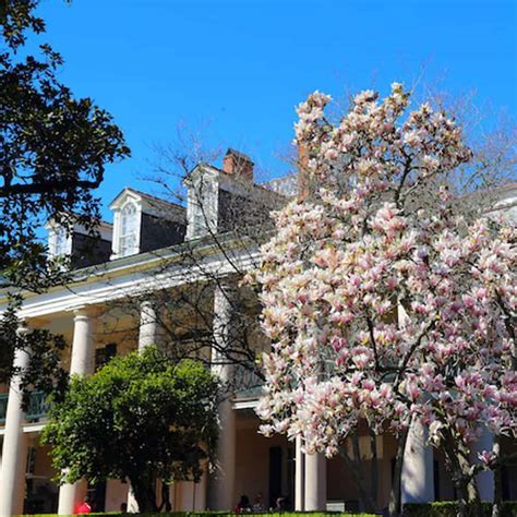 Guided Oak Alley Plantation Tour with Transportation from New Orleans ...