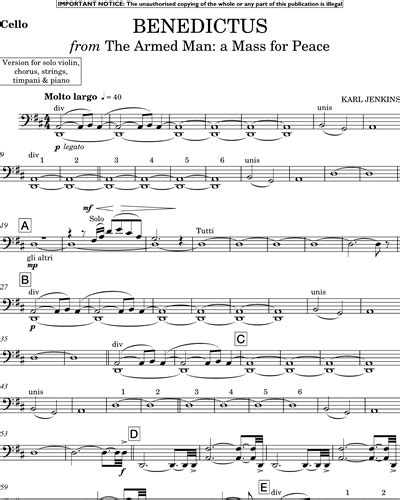 Benedictus (from "The Armed Man") Sheet Music by Karl Jenkins | nkoda