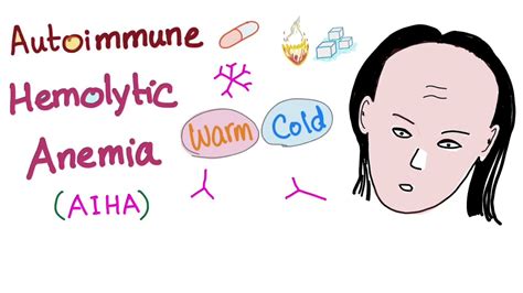 Autoimmune Hemolytic Anemia (AIHA) - Warm autoantibodies (IgG) - Hematology - YouTube