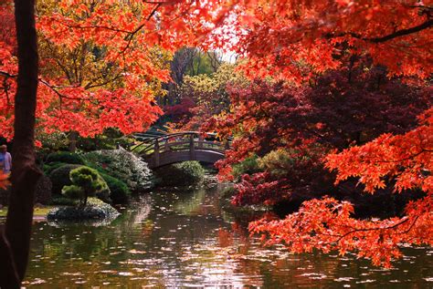 Japanese Garden Ft. Worth | Places to go, Japanese garden, Places