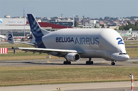 HD wallpaper: the plane, Clouds, Cargo, Airbus, Beluga, A300, Airbus ...