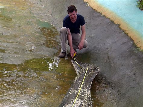 Un expert en crocodiles qui a accueilli Attenborough coupable d'abus ...