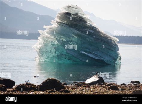 Endicott arm fjord hi-res stock photography and images - Alamy