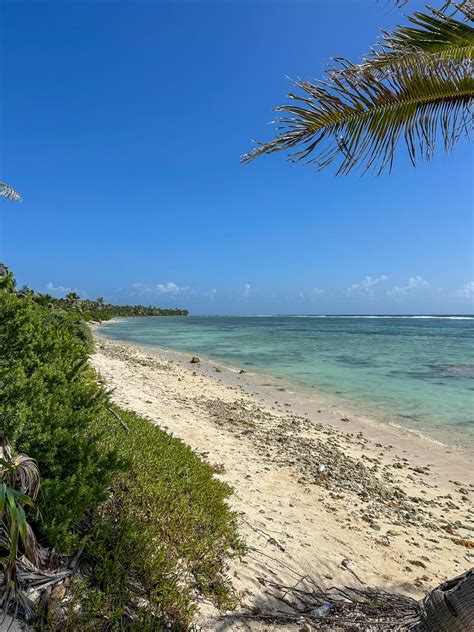 Early January Weather is Perfection On Ambergris Caye | San Pedro Scoop