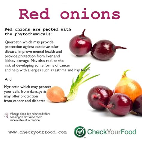 What are the health benefits of red onions | Red onion benefits, Onion ...