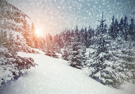 Winter Snowfall Wallpapers - Wallpaper Cave