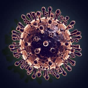 Computer Generated H5N1 Model - Bird Flu (Avian Influenza A H5N1) Photo ...