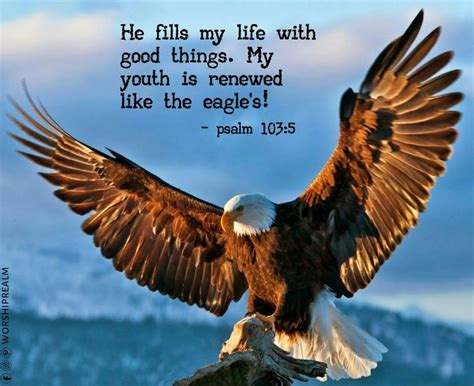 Psalm 103:5 He fills my life with good things. My youth is renewed like ...