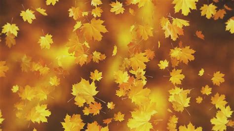 Gold Autumn Leaves Loop - Stock Motion Graphics | Motion Array