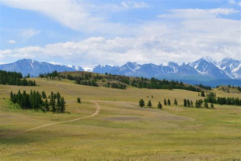 Best Altai Nature Reserve Stock Photos, Pictures & Royalty-Free Images ...