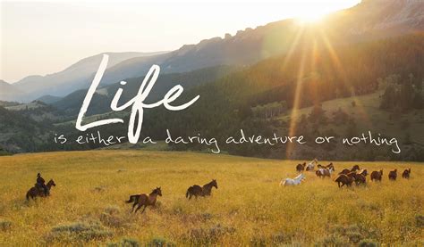 Image captured by Cathryn Kerns on our Big Horn Cattle Drive in Wyoming. Quote by Hellen Keller ...