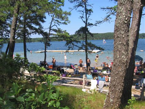 Gull Pond | Wellfleet MA