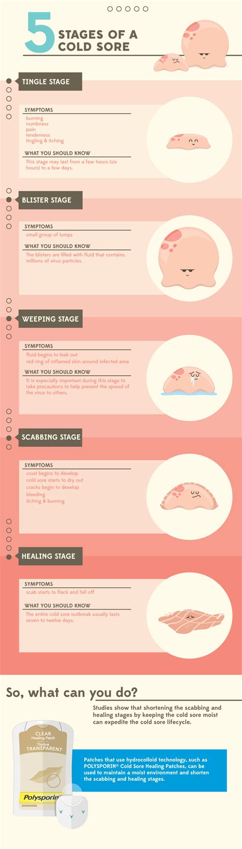 Find out about the five main stages of a cold sore and learn to identify the early warning signs ...