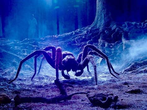 New spiders named after 'Harry Potter,' 'LOTR' arachnids - CNET