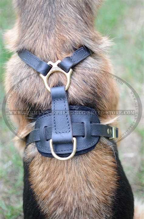 Walking German Shepherd Dog Harness [H3###1019 Leather Harness With Chest Plate] : German ...