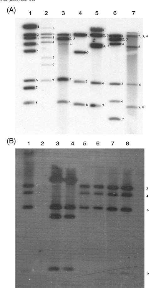 Figure 1 from Evolution of genes on the Salmonella Virulence plasmid phylogeny revealed from ...