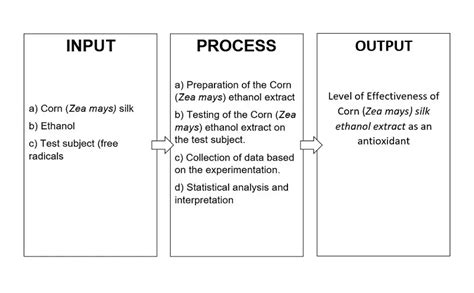 How To Make Conceptual Framework (With Examples and Templates) - FilipiKnow