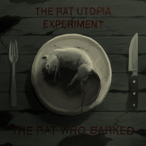 The Rat Who Barked | The Rat Utopia Experiment