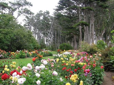 Mendocino Coast Botanical Gardens, Fort Bragg, CA - California Beaches