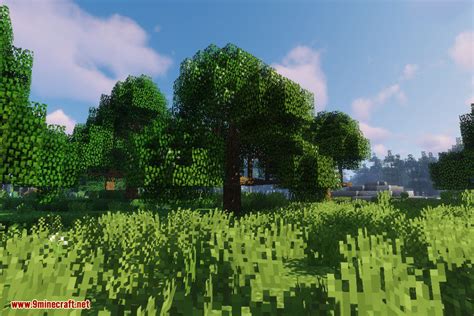 Dynamic Trees Biomes O' Plenty Compat Mod (1.21.1, 1.20.1) - 9Minecraft.Net