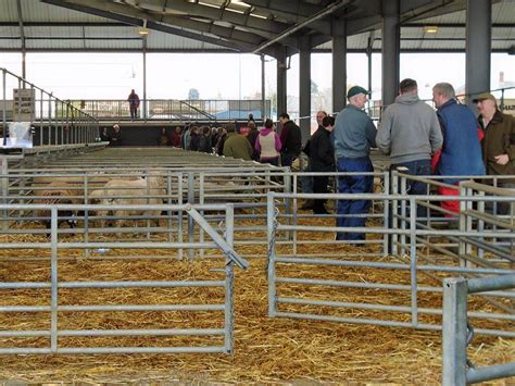 Martin Brookes Oakham: Melton Mowbray Cattle Market Leicestershire