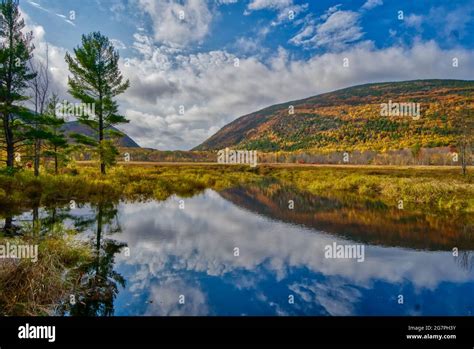 Fall foliage at Acadia National Park Stock Photo - Alamy