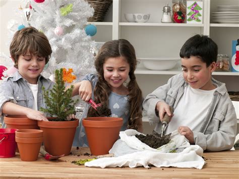 How to Grow an Indoor Garden - Cache Valley Family Magazine