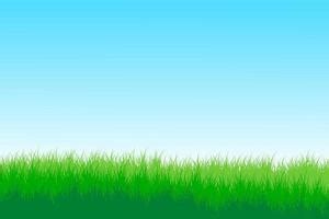 Sky Grass Background Vector