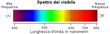 UV-Visible Spectroscopy