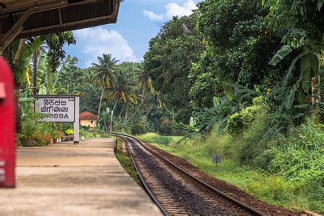 A Guide to Surfing Mirissa in Sri Lanka | Best Surf Destinations