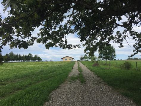 Life in the Romanian countryside: How I left Bucharest to build a house and garden far away ...