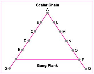 What is the principle of ‘scalar chain’? Explain briefly the utility of ‘gang plank’ with the ...