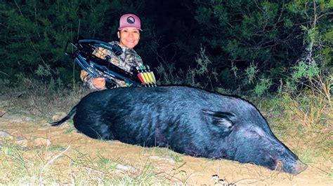 Texas Hog Hunts - Quality Hunts