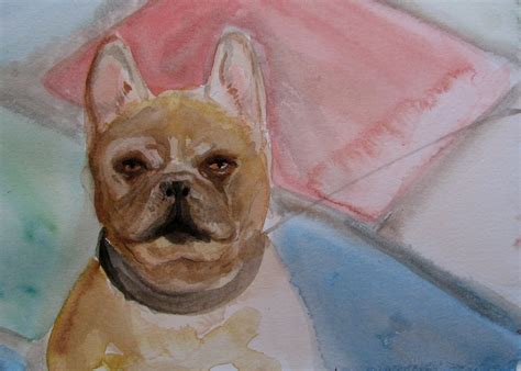 LynFeudner: Dog sketches in Watercolor