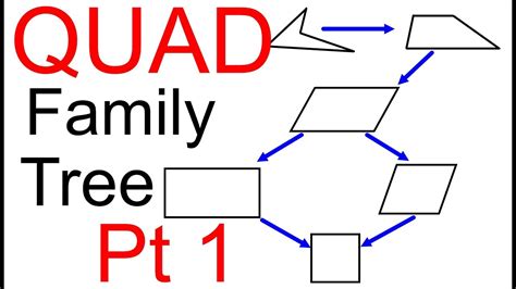 Quadrilateral Family Tree Pt 1 - YouTube