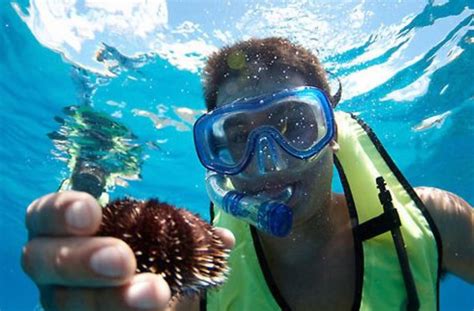 6 Best Oahu Snorkel Tours In 2023