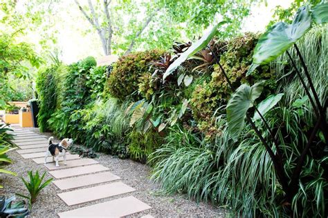 Jardins verticais e muros vegetados voltaram com toda força: afinal, eles se adequam a todo tipo ...