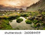 Sunset landscape at Olympic National Park, Washington image - Free stock photo - Public Domain ...