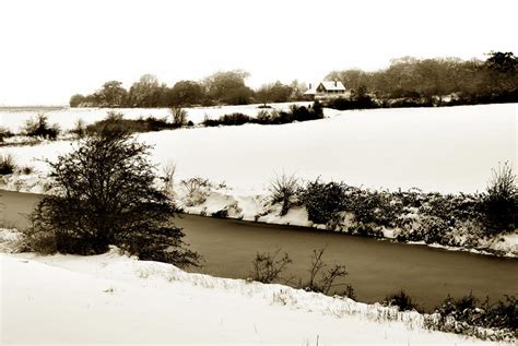 Bleak Landscape. by Terence Davis